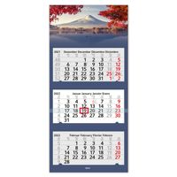Drei-Monatskalender 2022 Japan I Wandkalender 3 Monate I 33 x 70 cm I mehrsprachig D / GB / F / ES I Jahresplaner mit Datumsschieber zum aufhängen I tr_044