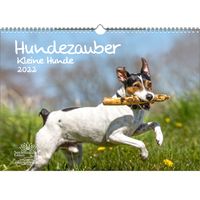 Welpenzauber DIN A3 Kalender für 2022 Hunde Welpen Familienplaner Seelenzaub 