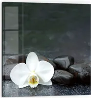 DEQORI Küchenrückwand Glas 60x60 cm 'Kontrastreiches Zen-Motiv' Spritzschutz Bad Rückwand