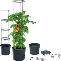 Sadzarka do pomidorów GROWER antracyt 29,5 cm