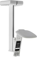 Flexson Deckenhalter für 1x Sonos One/One SL, Zimmerdecke, Stahl, Schwarz, Zimmerdecke, 80°, 32,8 cm