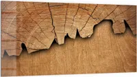 DEQORI Küchenrückwand Glas 100x50 cm 'Baumzeitzeugen' Spritzschutz Bad Rückwand Küche