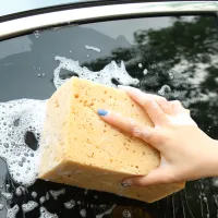 Schwamm für die Autoscheibe Wisch Fensterschwamm Autoschwamm Wischen  sauber Wunder kaufen bei