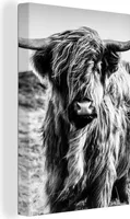 OneMillionCanvasses® - Obrazy na plátně - 90x140 cm, Skotský náhorní skot - Příroda - Kráva - Černá - Bílá, Wall Art Obývací pokoj Highland Cattle - Zvířecí nástěnná dekorace - Fotografie na plátně - Obraz na - Nástěnná dekorace - Ložnice