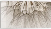 DEQORI Küchenrückwand Glas 80x40 cm 'Pusteblumenpoesie' Spritzschutz Bad Rückwand Küche