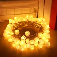 3m 20 LED Lichterkette Kugel Outdoor Batteriebetrieben Innen Außen Weihnachten Party Garten Deko, Warmweiß