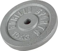 GORILLA SPORTS® Hantelscheiben - 10 kg Gewichte, 30/31 mm, Gusseisen, Silber - Gewichtsscheiben, Bumper Plates