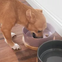 Navaris Fressnapf Futternapf Set aus Keramik - 2x Hundenapf Katzennapf Futterschale mit Unterlage aus Eichenholz - Fressnäpfe für Hunde und Katzen