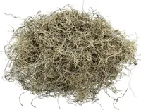 Dschungelmoos Natur 1kg gereinigt und präpariert - 55,73 € pro Kilogramm