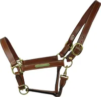 Equest Lederhalfter Inscribe für Pferde, gepolstert - cognac, L - Full/Pferd