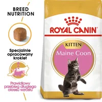 Royal Canin Feline Maine Coon Kitten - 4 kg