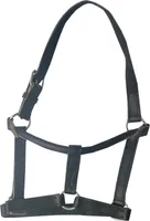 Lederhalfter, schwarz, Gr. C/S = Vollblut ***