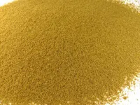 Anis gemahlen Naturideen® 100g