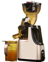 Acopino Delicato Slow Juicer in Champagner, 250 Watt