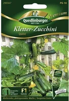 Quedlinburger Saatgut - Kletterzucchini Quine - Samen - 290367
