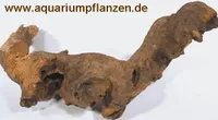 Savannenwurzel 20-30 cm, Wurzel, Aquarium, Deko