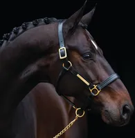 Kožená ohlávka Horseware Amigo - černá, velikost:Coldblood (XL)