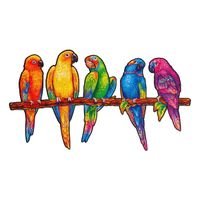 Verspielte Papageien | Unidragon: M