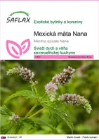 SAFLAX - Mexická mäta Nana - Mentha spicata Nane - 500 Semená