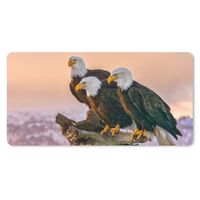MuchoWow® Schreibtischunterlage Vögel - Natur - Raubvögel - Adler 80x40 cm - XXL Mauspad - Gaming Mauspad