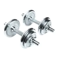 činková sada inSPORTline 2x 10 kg litina ( 2x činka + 4x závaží 2,5 kg + 4x závaží 1,25 kg ) YLDS11