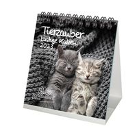 Tierzauber lustige Katzen Tischkalender für 2023 Format 10cm x 10cm lustige Katzen  - Seelenzauber