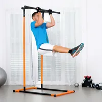 InnovaGoods Pull-up a fitness stanice s návodem na cvičení