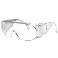 Ironwear 343-019 Sicht-Schutzbrille, klar