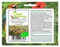 25x Gelbe Kiwi Selbstbefruchtend Obst Garten Pflanzen - Samen #108