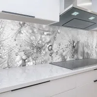 Küchenrückwand Pusteblumen 60 x 200 cm, robuste ABS-Kunststoff Platte Monolith mit Direktdruck, grau