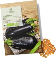 Aubergine Samen (Black Beauty) - Auberginen Saatgut aus biologischem Anbau ideal für die Anzucht im Garten, Balkon oder Terrasse (25 Korn)