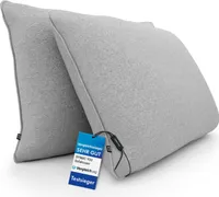 DYNMC you Sofakissen mit Füllung und Bezug - 2er Set 40x60cm mit Viel Füllung - VERGLEICHSSIEGER  - Rückenkissen mit  Baumwoll-Bezug - Bequeme Dekokissen - Couchkissen Grau