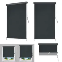 LZQ 250x160cm Außen Senkrechtmarkise Ausziehbare Vertikalmarkise mit Handkurbel Sonnenschutz Sichtschutz Markisen Außenrollo, Dunkelgrau