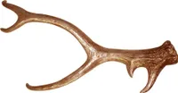 LEX Deko Tisch- & Wand Deko Hirschgeweih ca. 27 x 10 x 67 cm Gold