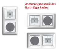 Busch Jäger Unterputz UP Bluetooth Radio 8217 U (8217U) alpinweiß KomplettSet im eleganten Busch balance SI/Radio + Lautsprecher + 2fach Rahmen 1722-914 + Abdeckungen Unterputzradio (Radio)