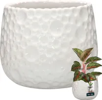 KOTARBAU® Kvetináč keramický okrúhly ⌀ 14,5 cm Výška: 15 cm Biely kvetináč Keramický kvetináč na izbové rastliny Kvetináč moderný malý kvetináč Kvetináč keramický Keramický kvetináč na orchidey