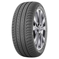 205/60 R 15 91V Champiro_Fe1 Tl Gt Radial