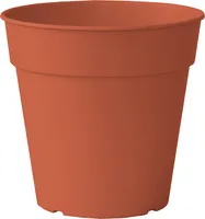 Madag. Zuchttopf21Cm Terrak. 820218