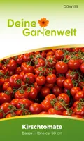 Kirschtomate Bajaja Samen - Solanum lycopersicum - Tomatensamen Cherrytomaten Balkontomaten - Gemüsesamen - Saatgut für 15 Pflanzen