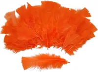 "50 FEDERN" orange - ca. 10 cm