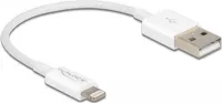 DELOCK USB Daten-/Ladekabel iPhone/iPad/iPod 15cm weiß