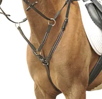 Vorderzeug mit Martingal, Beschläge Fb. silber, Farbe:schwarz, Groesse:Warmblut