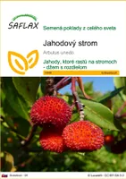 SAFLAX - jahodový strom - Arbutus unedo - 50 Semená