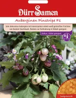 Dürr-Samen - Auberginen Pinstripe F1 - Saatgut - 4157