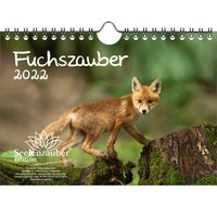 Fuchszauber DIN A5 Wandkalender für 2022 Fuchs und Füchse - Seelenzauber
