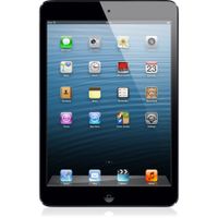 Apple iPad mini, 20,1 cm (7.9 Zoll), 1024 x 768 Pixel, 16 GB, 0,5 GB, iOS, Grau