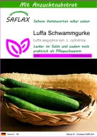 SAFLAX  - Luffa Schwammgurke - Luffa aegyptica syn. L. cylindrica - 10 Samen - Mit keimfreiem Anzuchtsubstrat