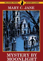 Mystery by Moonlight