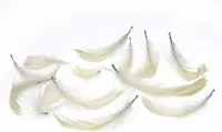 Deko-Federn, 270 Stück, 15g, 101 weiß