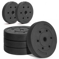 Smartfox Hantelscheiben Set bestehend aus 2 x 15 kg (insg. 30kg) | Farbe: Schwarz | 28mm Bohrung | Muskelaufbau Kraftsport Zubehör